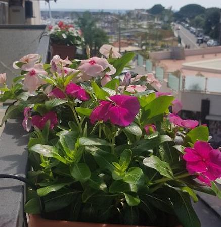 B&B La Costa Di Naxos Giardini Naxos Bagian luar foto